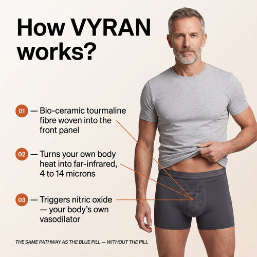 vyran 02 slide02 how v3